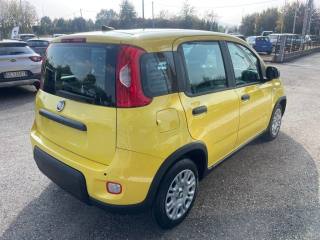 FIAT Panda usata, con Controllo trazione