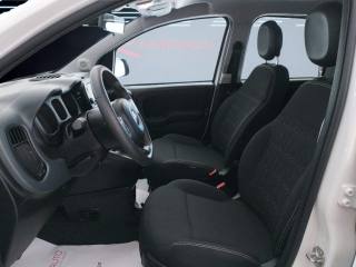 FIAT Panda usata 12