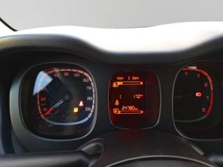 FIAT Panda Cross usata 19
