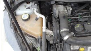 FORD Fiesta usata 130
