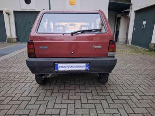 FIAT Panda usata 4