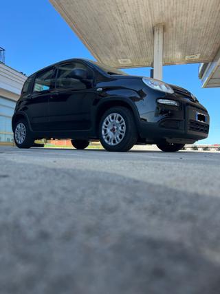 FIAT Panda usata, con Ruotino