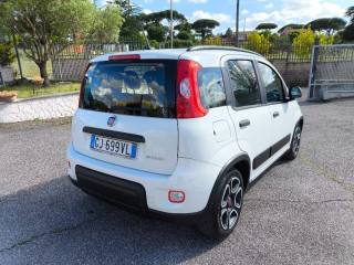 FIAT Panda usata 3