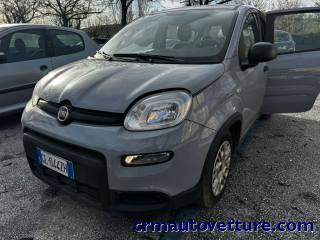 FIAT Panda usata, con Airbag Passeggero