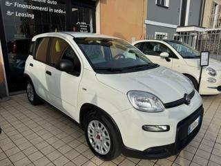 FIAT Panda usata, con Airbag