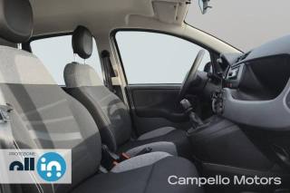 FIAT Panda usata 13