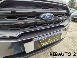 FORD EcoSport usata, con Controllo vocale