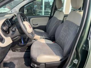 FIAT Panda usata, con Fendinebbia