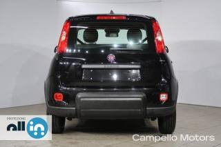 FIAT Panda usata 3