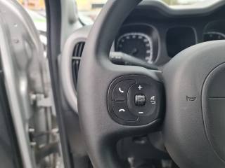 FIAT Panda usata, con Antifurto