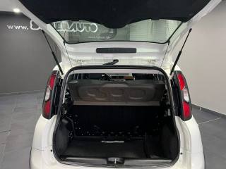 FIAT Panda Cross usata, con Controllo trazione
