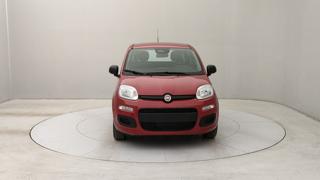 FIAT Panda usata, con Chiusura centralizzata