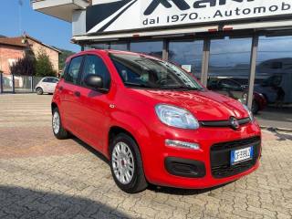 FIAT Panda usata, con Airbag