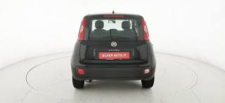 FIAT Panda usata 47