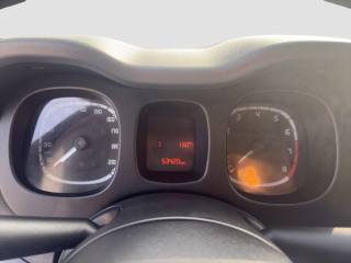 FIAT Panda usata 14