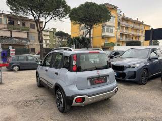 FIAT Panda usata, con Controllo trazione
