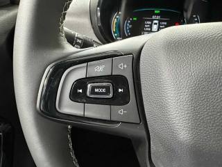 DR MOTOR DR 1.0 EV usata 26