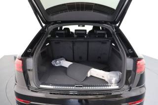 AUDI Q8 usata, con Fendinebbia