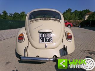 VOLKSWAGEN Maggiolino usata 4