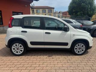 FIAT Panda usata, con Boardcomputer