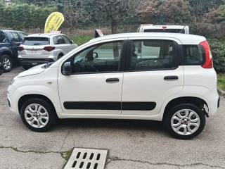 FIAT Panda usata, con Climatizzatore