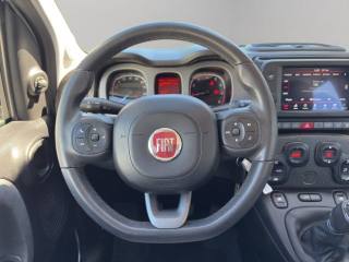 FIAT Panda Cross usata, con Fendinebbia