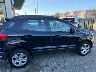 FORD EcoSport usata, con Vetri oscurati