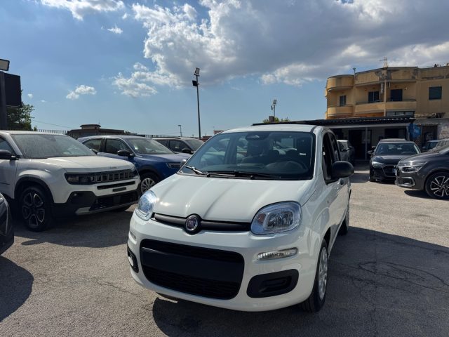 FIAT Panda usata, con Airbag Passeggero