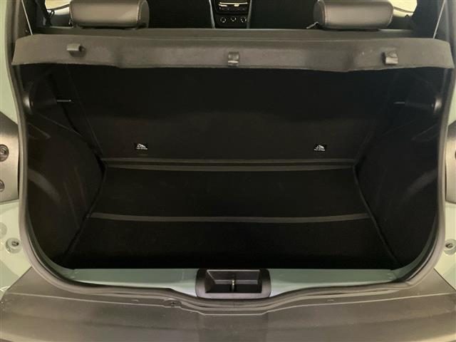 DACIA Spring usata 21