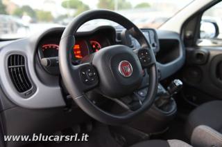 FIAT Panda usata 8