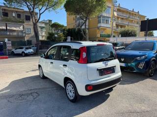FIAT Panda usata, con Airbag Passeggero