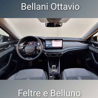 SKODA Octavia usata, con Immobilizzatore elettronico