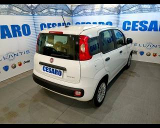 FIAT New Panda usata, con Airbag Passeggero