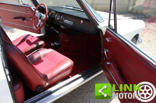 ALFA ROMEO Junior usata 19