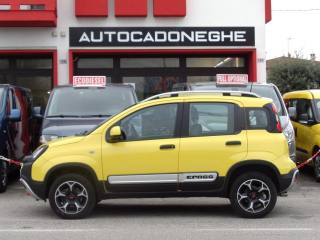 FIAT Panda Cross usata, con Alzacristalli elettrici