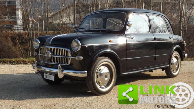 FIAT 1100 usata 23