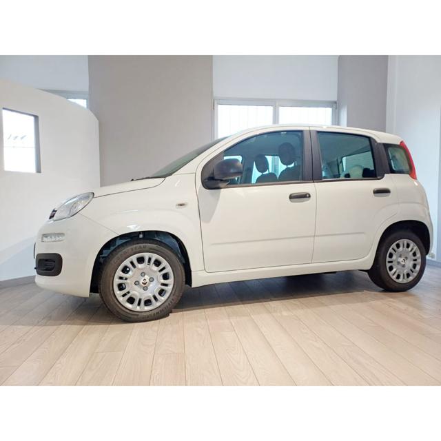 FIAT Panda usata, con ABS