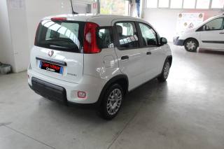 FIAT Panda usata, con Airbag Passeggero