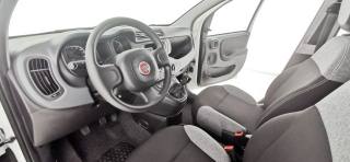 FIAT Panda usata 49