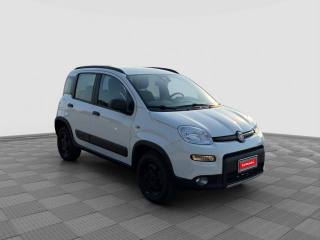 FIAT Panda usata 6