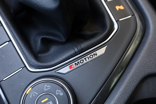VOLKSWAGEN Tiguan usata 75