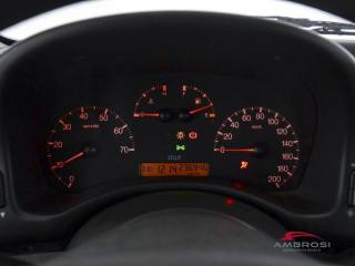 FIAT Punto usata 12