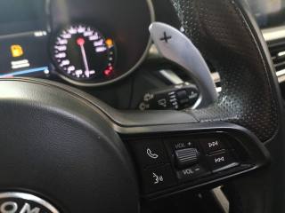 ALFA ROMEO Stelvio usata, con ESP