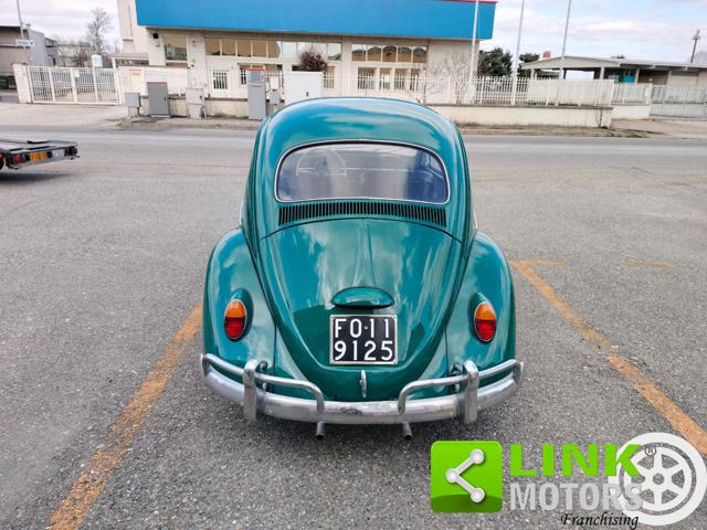 VOLKSWAGEN Maggiolino usata 5