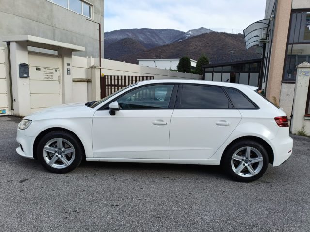 AUDI A3 usata, con Alzacristalli elettrici