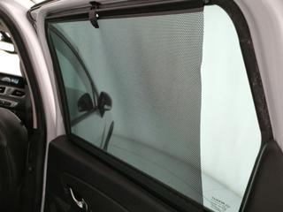 RENAULT Scenic usata, con Bracciolo