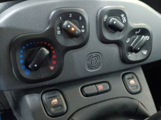 FIAT Panda usata 19