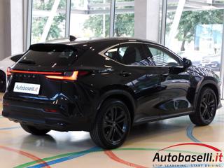 LEXUS NX 300h usata, con Immobilizzatore elettronico