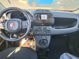 FIAT Panda usata, con Servosterzo