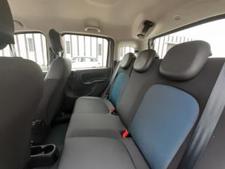 FIAT Panda usata, con Fendinebbia